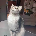 Grace's ラ・スペツィア