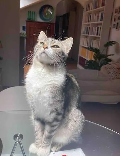 Grace's Λα Σπέτσια